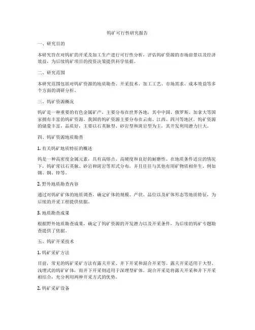 钨矿可行性研究报告