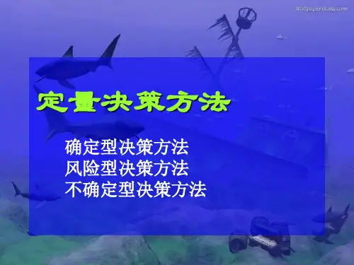 [管理学]定量决策方法