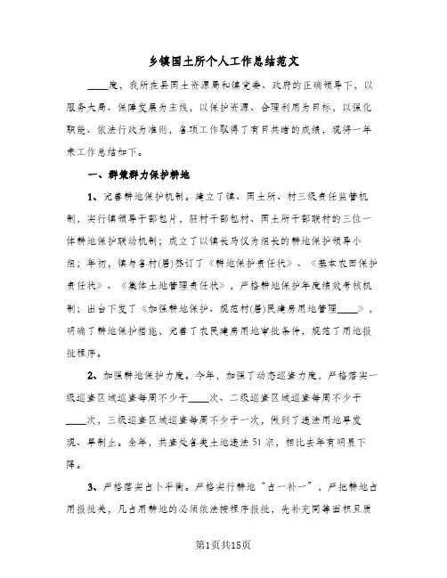 2023年乡镇国土所个人工作总结范文(四篇)