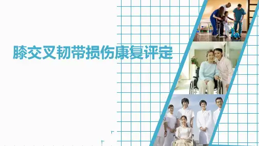 膝交叉韧带损伤康复评定