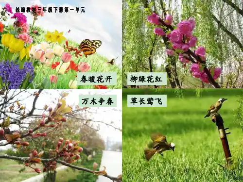 新版部编版三年级语文下册第一课古诗三首ppt课件完美版
