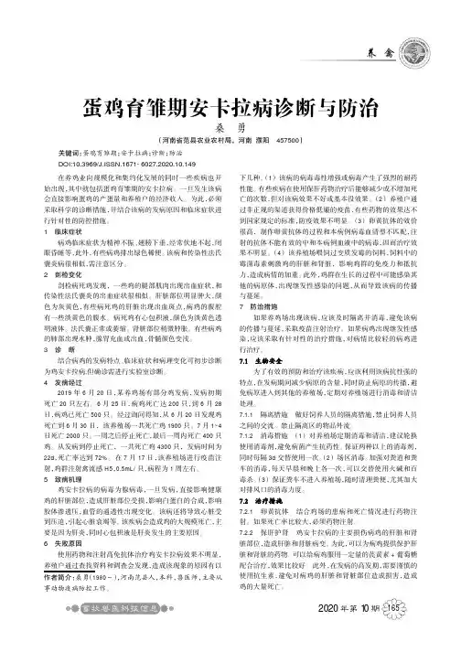 蛋鸡育雏期安卡拉病诊断与防治