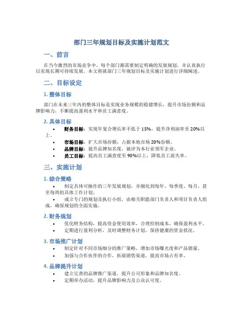 部门三年规划目标及实施计划范文