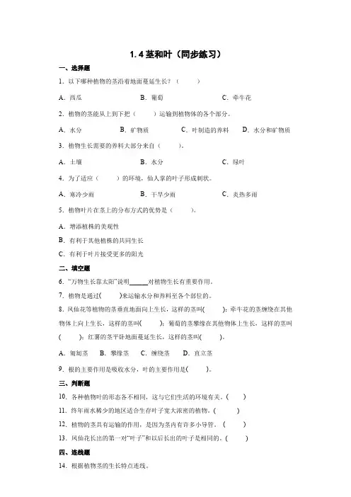 教科版(2017秋)科学 四年级下册 1-4茎和叶 同步练习(含答案)