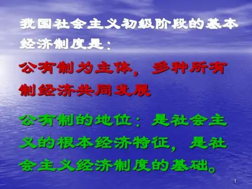初级阶段经济制度ppt课件