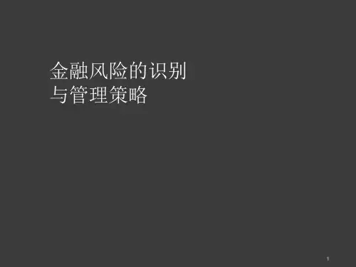 金融风险的识别与管理策略ppt课件