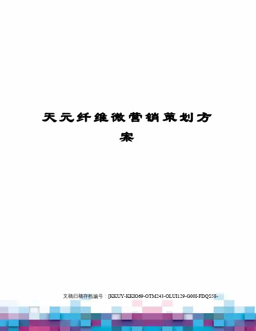 天元纤维微营销策划方案终审稿)