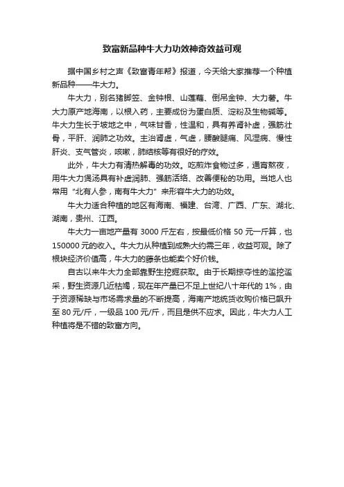 致富新品种牛大力功效神奇效益可观