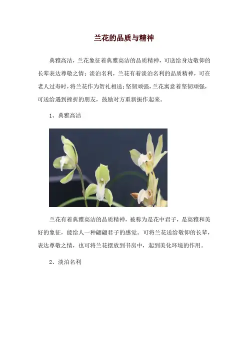 兰花的品质与精神