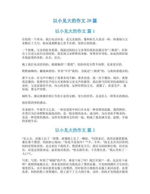 以小见大的作文20篇