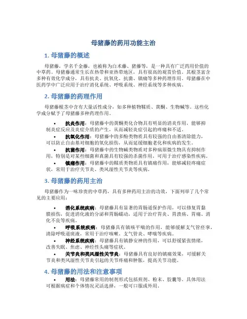 母猪藤的药用功能主治