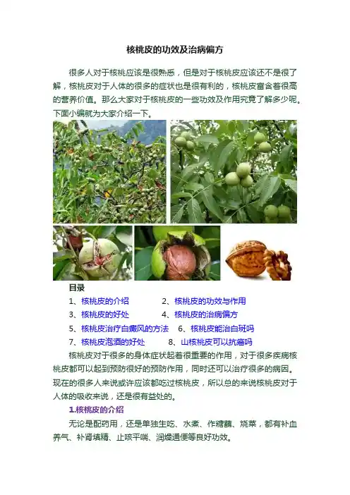 核桃皮的功效及治病偏方