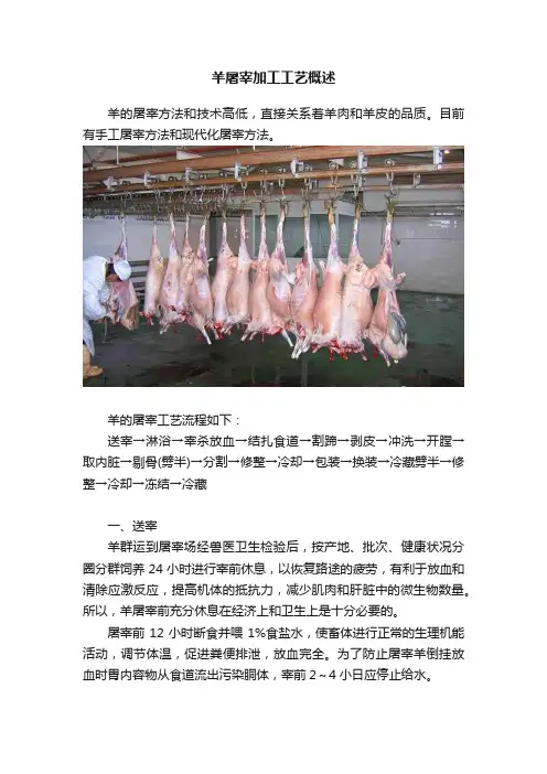 羊屠宰加工工艺概述