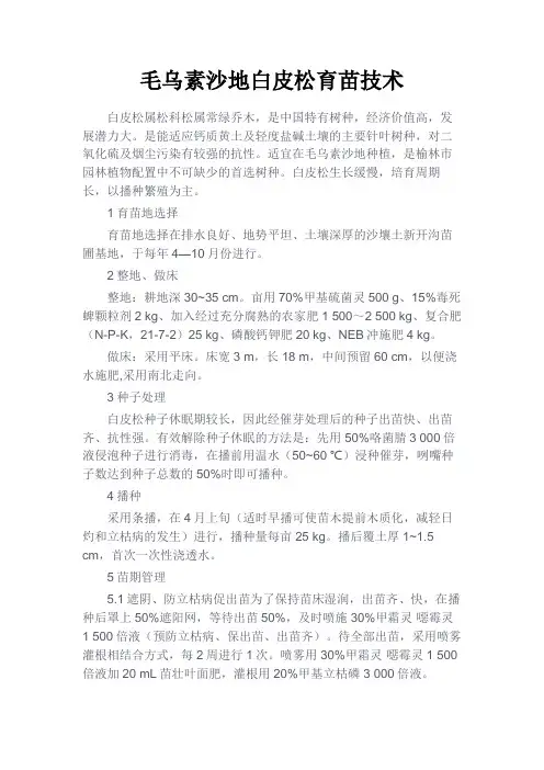 最新 毛乌素沙地白皮松育苗技术-精品
