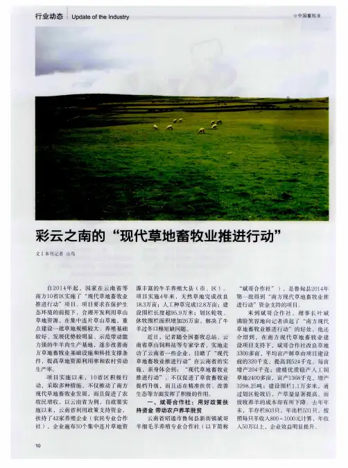 彩云之南的“现代草地畜牧业推进行动”