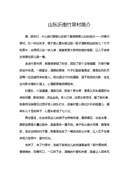 山东沂南竹泉村简介