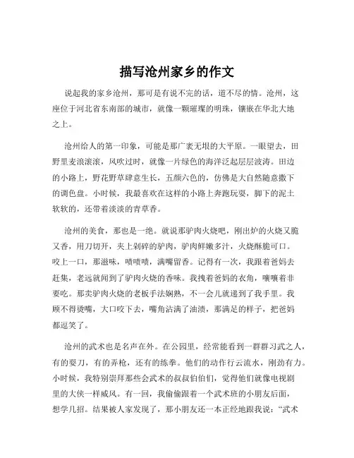 描写沧州家乡的作文