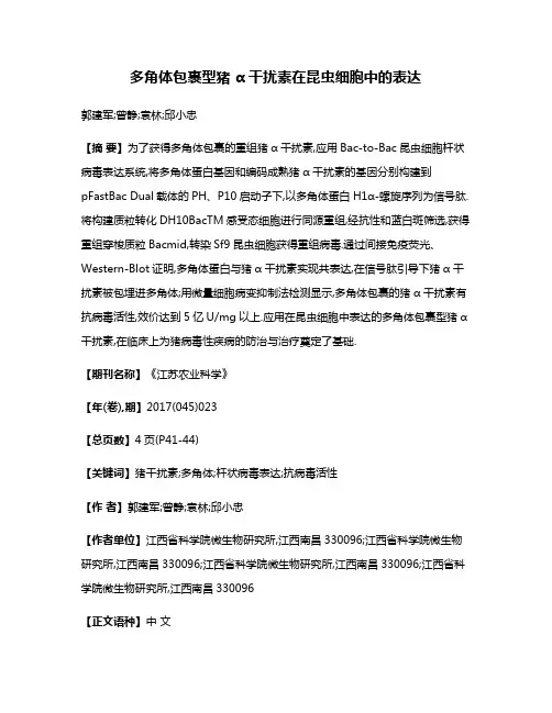 多角体包裹型猪 α干扰素在昆虫细胞中的表达