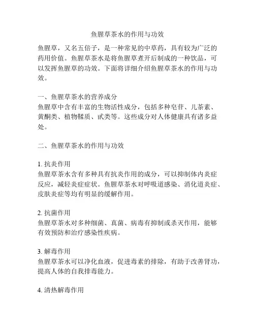 鱼腥草茶水的作用与功效