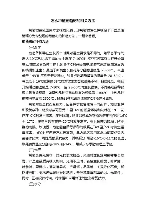 怎么种植葡萄树的相关方法