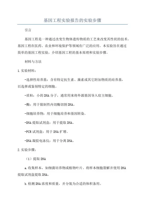 基因工程实验报告的实验步骤