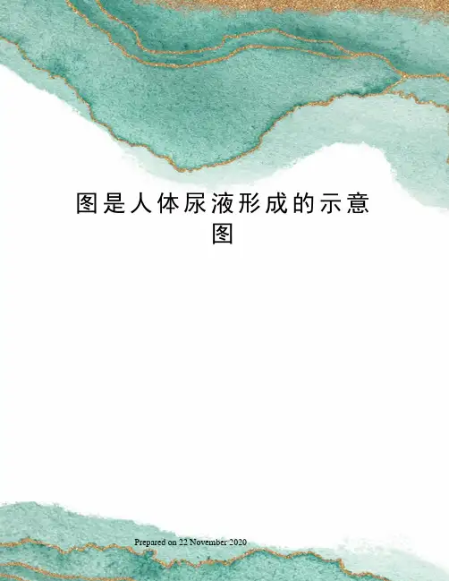 图是人体尿液形成的示意图