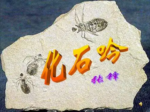 2013版人教版七年级上册《化石吟》教学课件