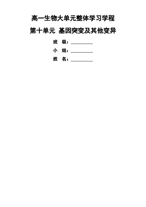 高一生物大单元整体学程基因突变及其他变异