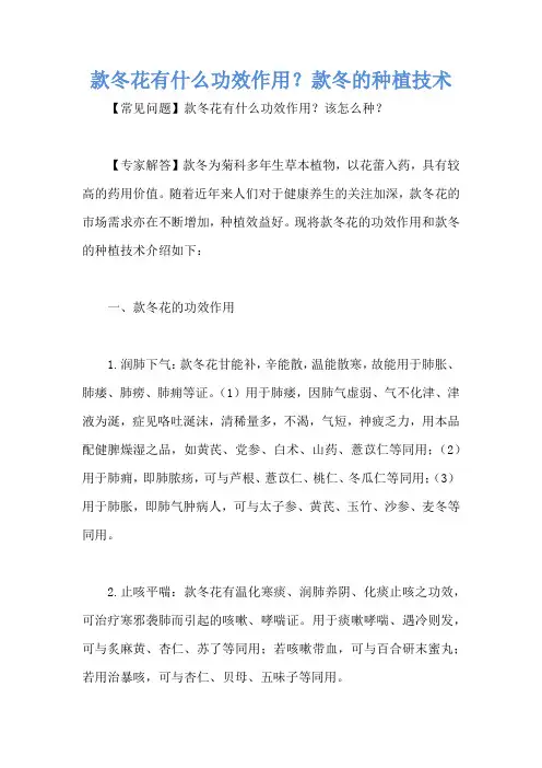 款冬花有什么功效作用？款冬的种植技术