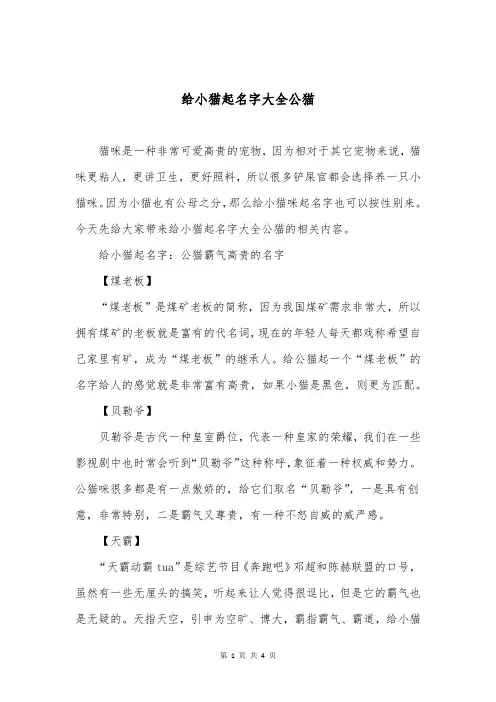 给小猫起名字大全公猫