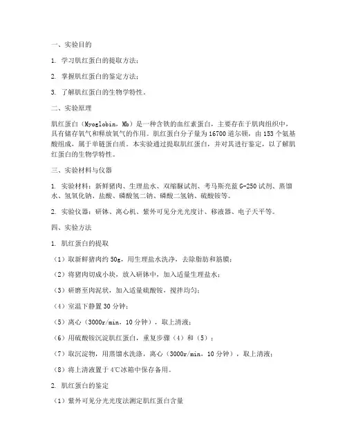 肌红蛋白实验报告