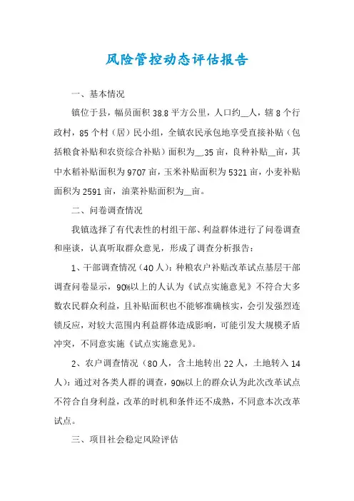 风险管控动态评估报告