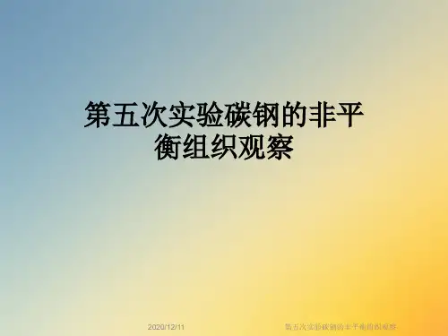 第五次实验碳钢的非平衡组织观察