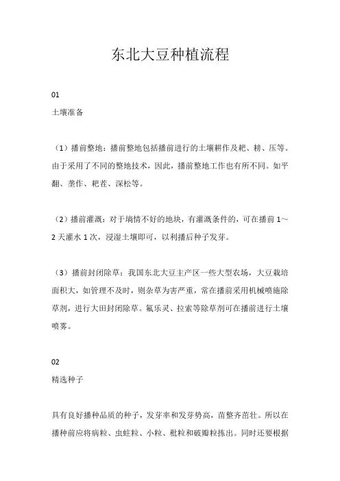 东北大豆种植流程