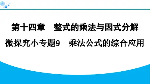 微探究小专题9 乘法公式的综合应用【习题课件】八年级上册人教版数学
