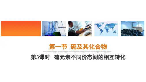 《硫元素不同价态间的相互转化》精品课件