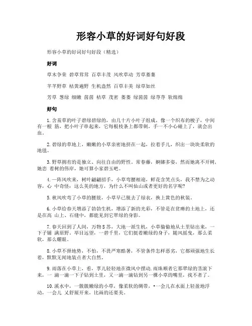 形容小草的好词好句好段
