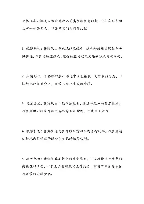 骨骼肌与心肌形态学异同点比较