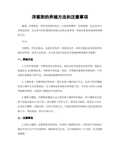 洋紫荆的养殖方法和注意事项
