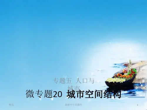推荐2019高考地理浙江选考新增分二轮课件：专题五人口与城市微专题20