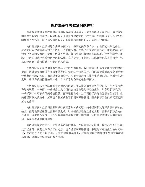 纯粹经济损失救济问题探析