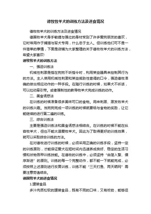 德牧牧羊犬的训练方法及进食情况