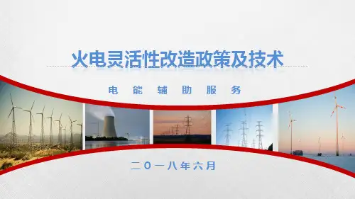 火电灵活性改造政策及技术(电能辅助服务)
