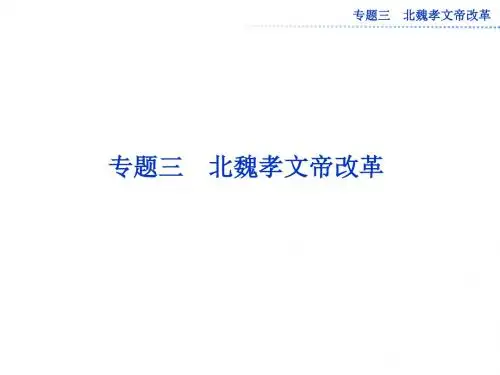人民版高中历史选修一专题三《励精图治的孝文帝改革》课件(共21张PPT)