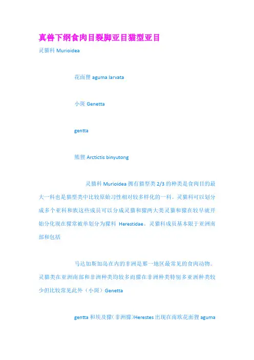真兽下纲食肉目裂脚亚目猫型亚目