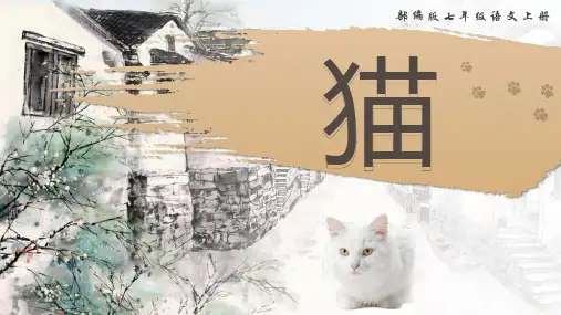 第17课《猫》课件精品-统编版语文七年级上册