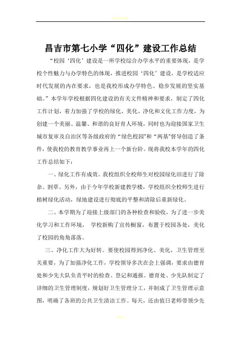 学校四化建设总结