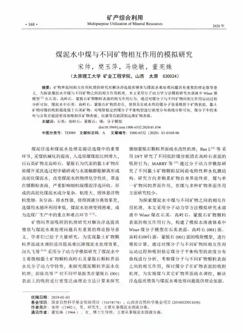 煤泥水中煤与不同矿物相互作用的模拟研究