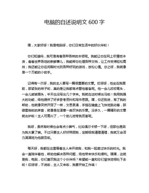 电脑的自述说明文600字