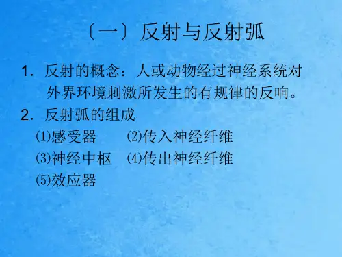 一反射与反射弧ppt课件